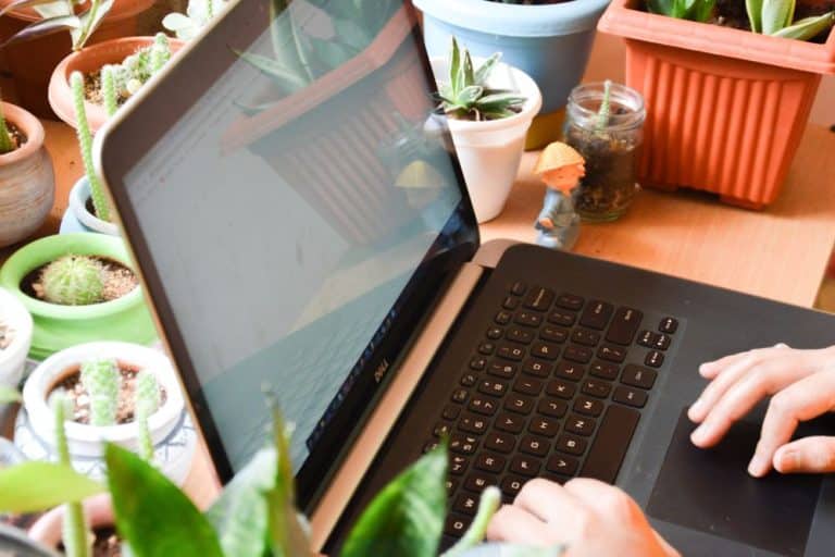 Laptop Dell abierta mostrando diseño elegante y pantalla nítida
